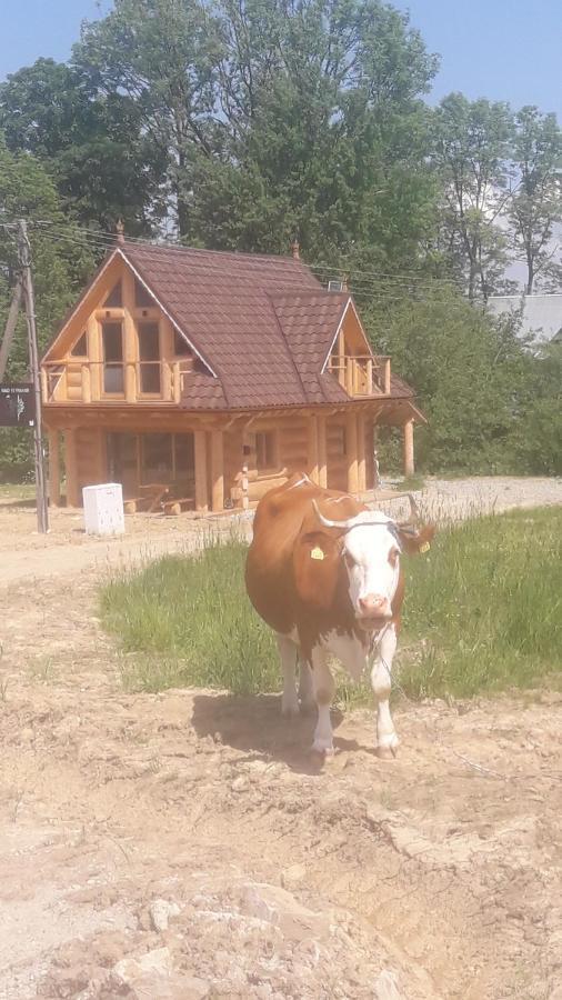Nad Termami Villa Dzianisz Екстериор снимка